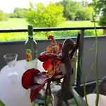 Lejlighed Mit Ausblick Friesoythe