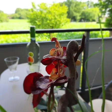 Apartman Mit Ausblick Friesoythe