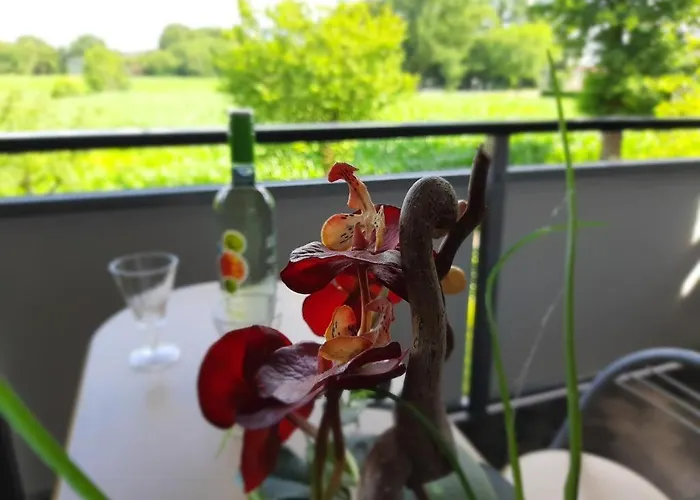Lejlighed Mit Ausblick Friesoythe